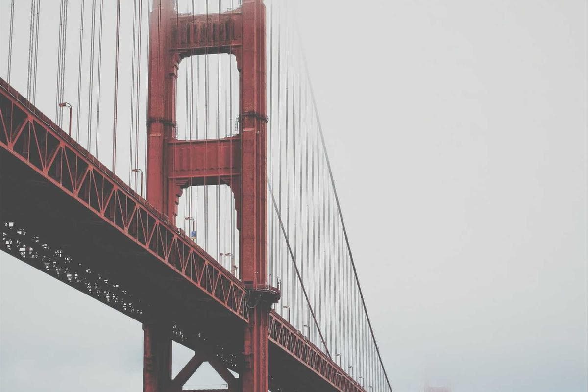 الذكاء الاصطناعي يعيد تشكيل العالم