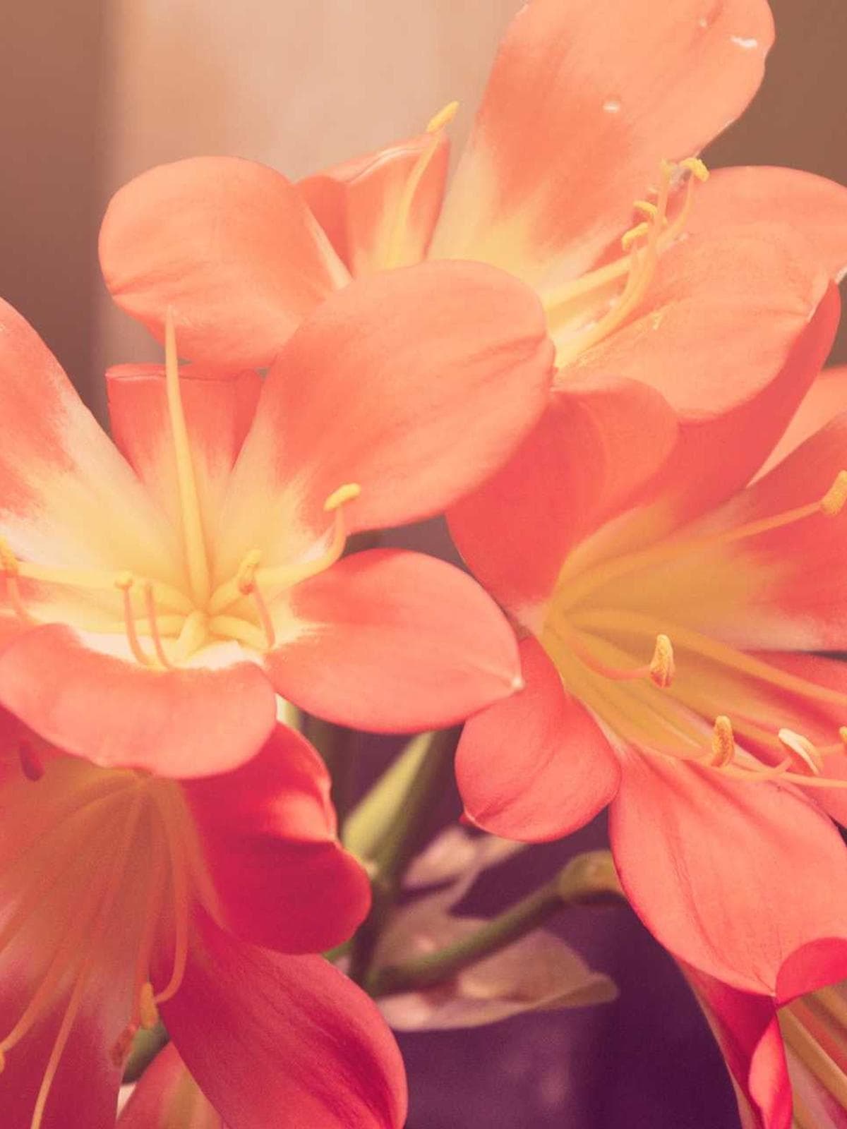 الاقتصاد العربي في أرقام 2026 - 2