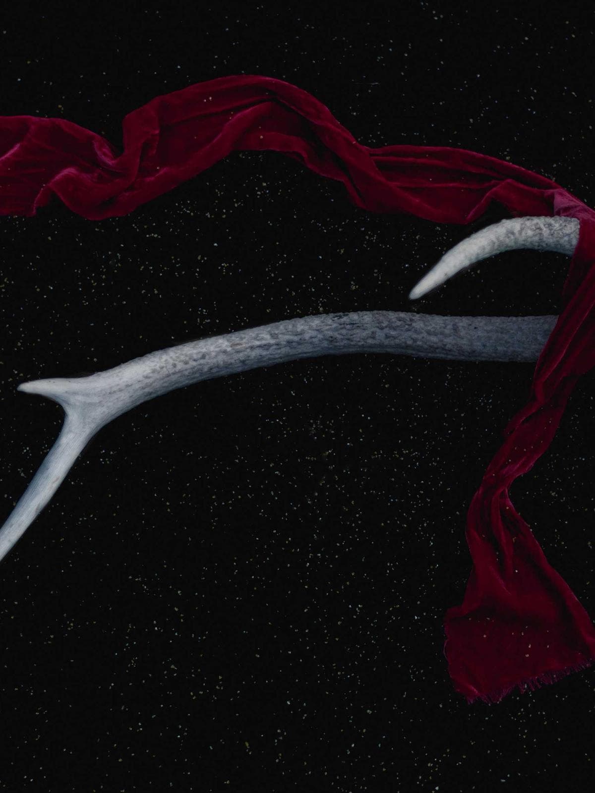 الاقتصاد العربي في أرقام 2026 - 3